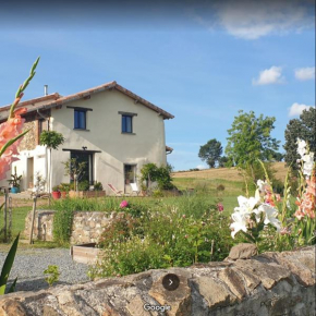 Gîte de l'Âne vert